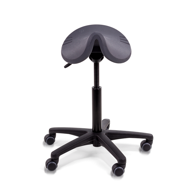 Score Spirit Amazone