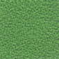 Grün FL81